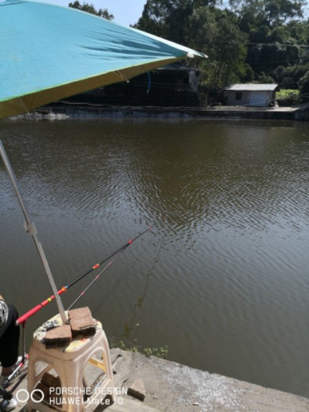 石岗休闲垂钓中心