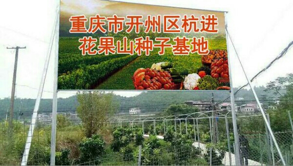 重庆市开州区白桥镇月霞村6组82号