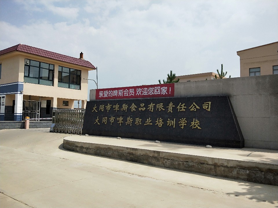 大同市啤斯职业培训学院