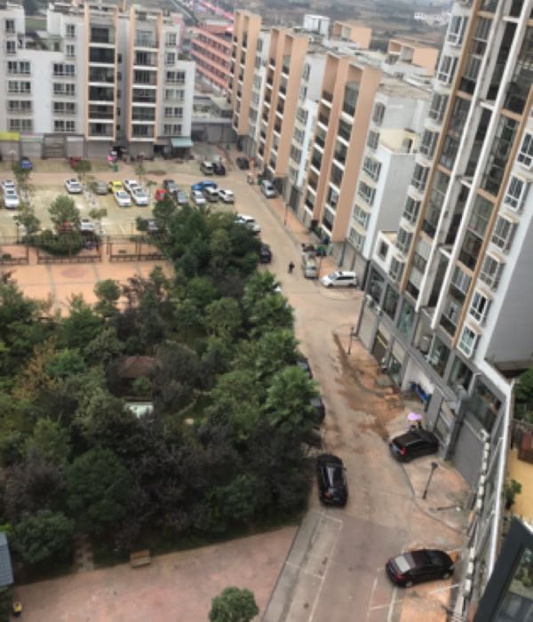 紫金名门