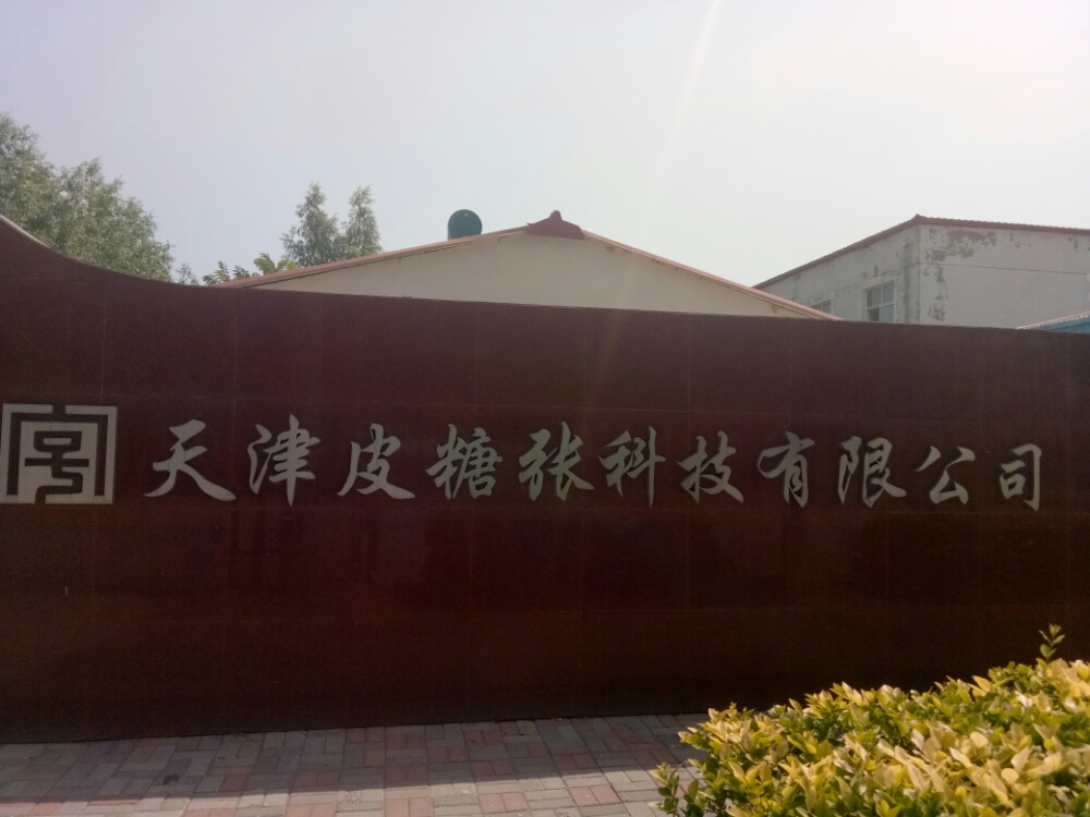 天津皮糖张科技有限公司