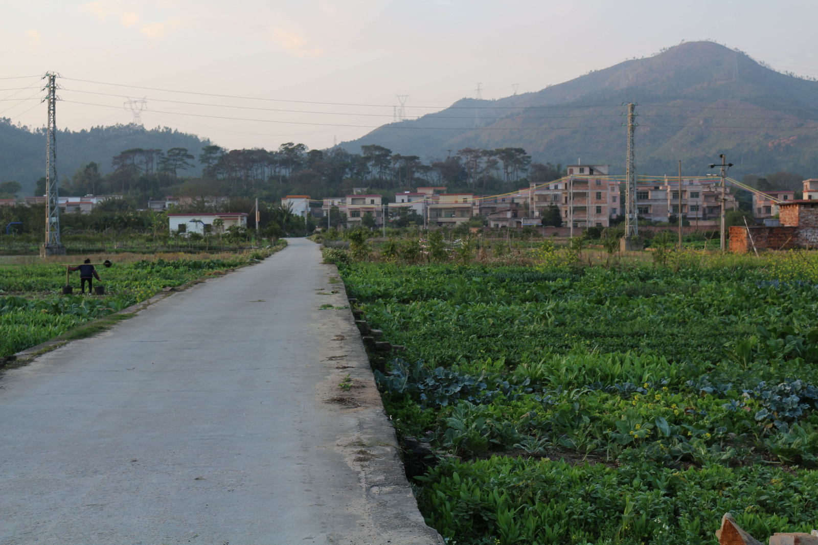 小榄村