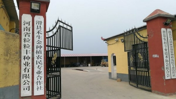 河南省安阳市滑县万古镇杜家庄村