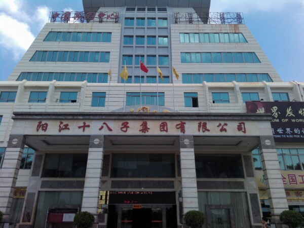 阳江十八子集团有限公司