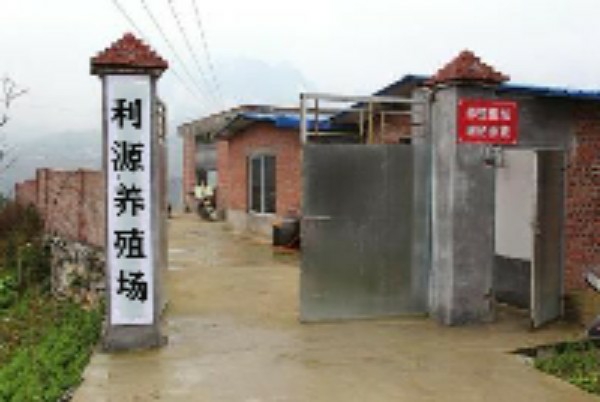 广东省茂名市茂南区羊角镇潭桥塘仔尾村大岭旁边