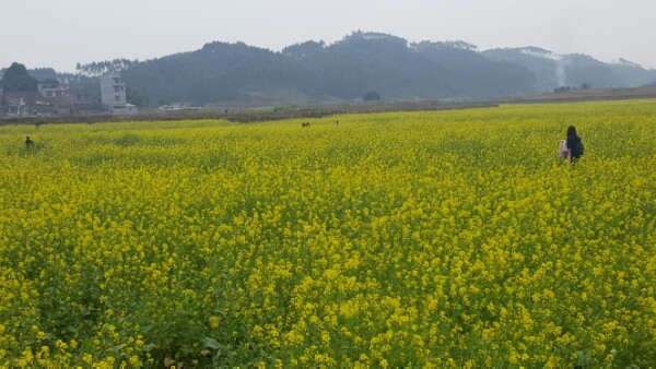 河池市大化瑶族自治县