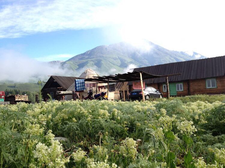 新疆维吾尔自治区阿勒泰地区布尔津县