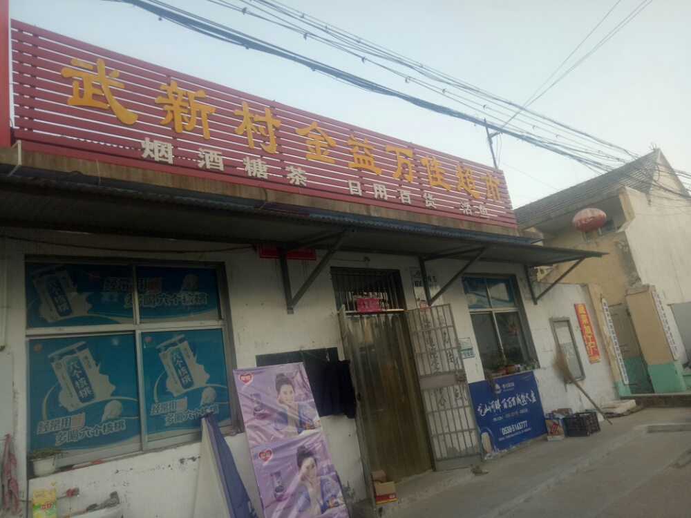 武新村