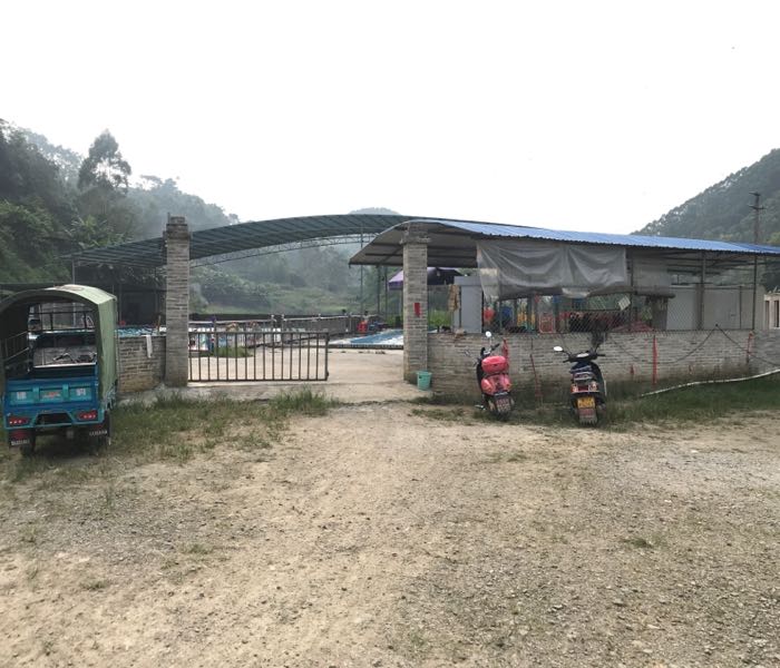 友僚村游泳池