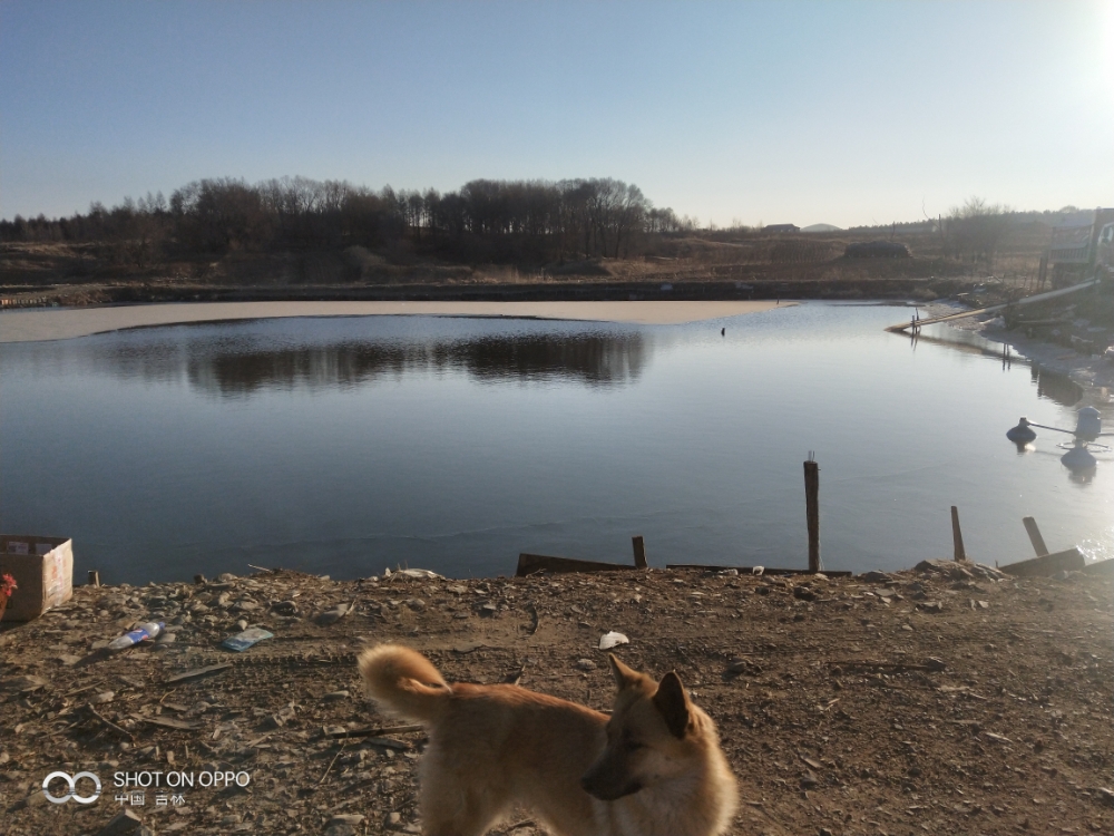 张久钓场