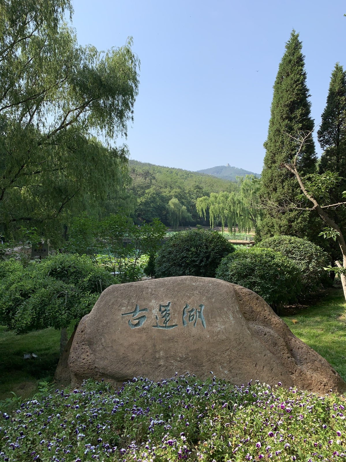 棒棰岛宾馆风景区-网球场