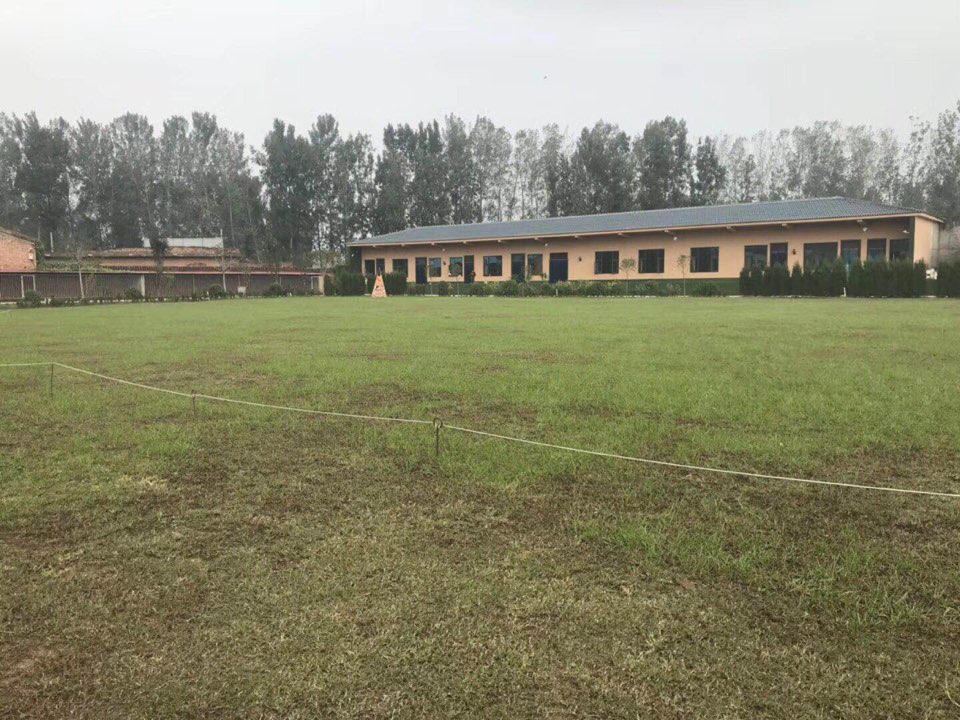 宝龙地方训练俱乐部。