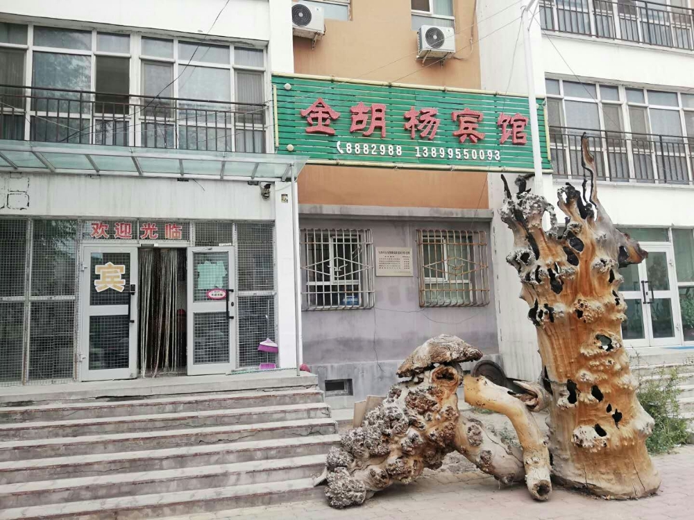 金胡杨宾馆