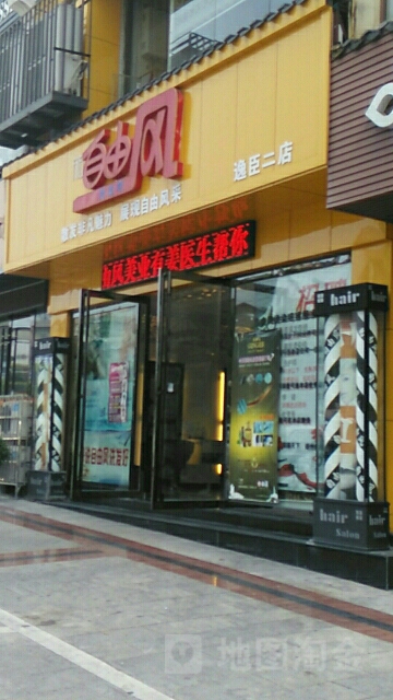 自由等