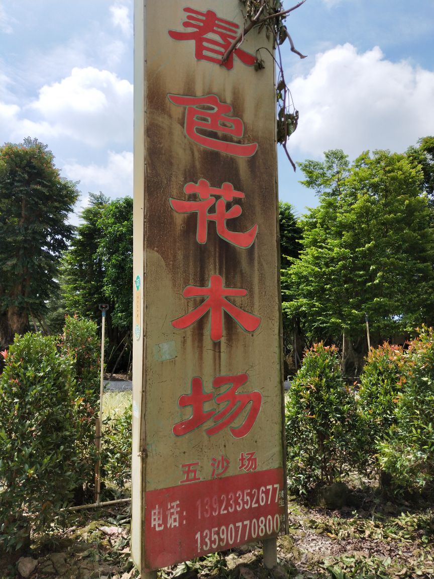 中山市横栏镇春色花木场