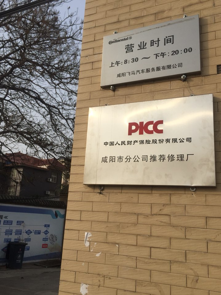 飞马汽车服务有限公司