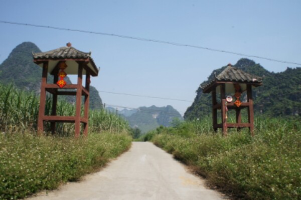 崇左市龙州县五三三县道