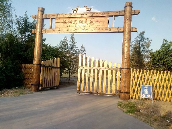 内蒙古农业大学职业技术学院(萨拉齐校区)
