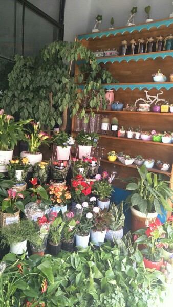 茉莉花意婚庆(津城建工大楼店)
