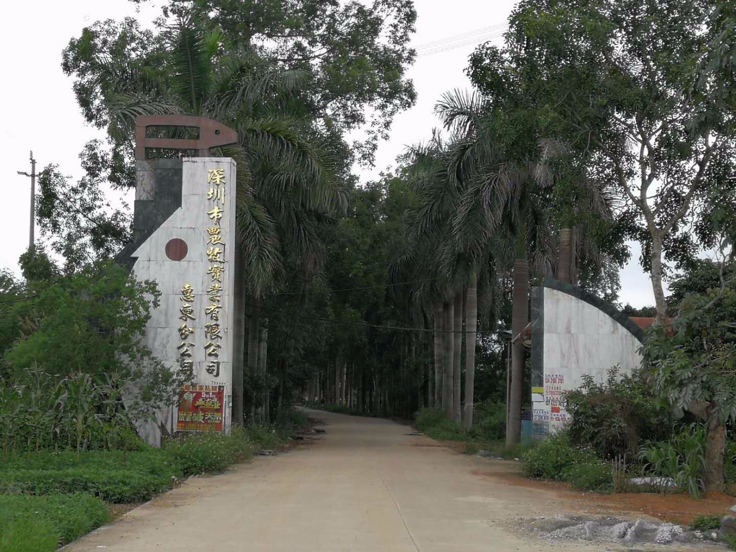 广东省惠州市惠东县白花镇谟岭村