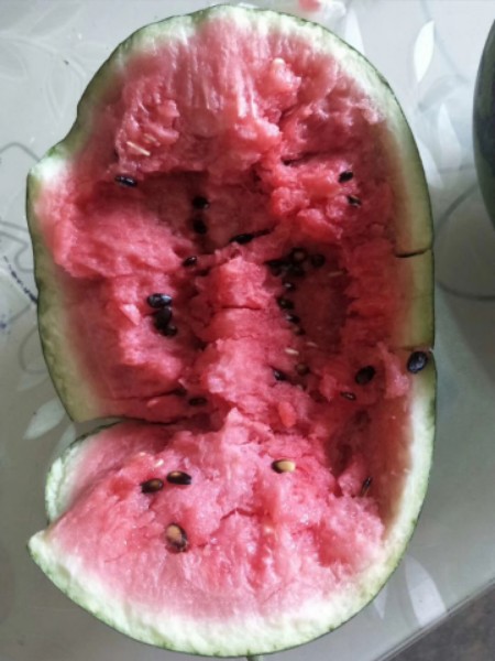 攀枝花市西区峰园家庭农场