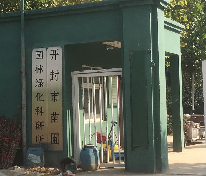 开封市苗圃