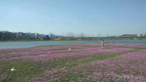 黄冈市麻城市二零七县道