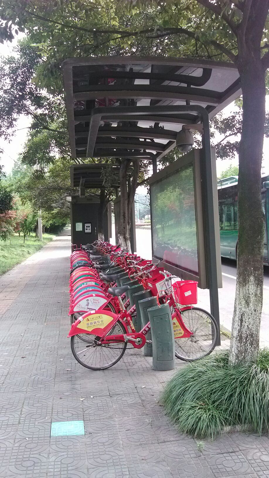标签: 公共自行车租赁点 交通设施