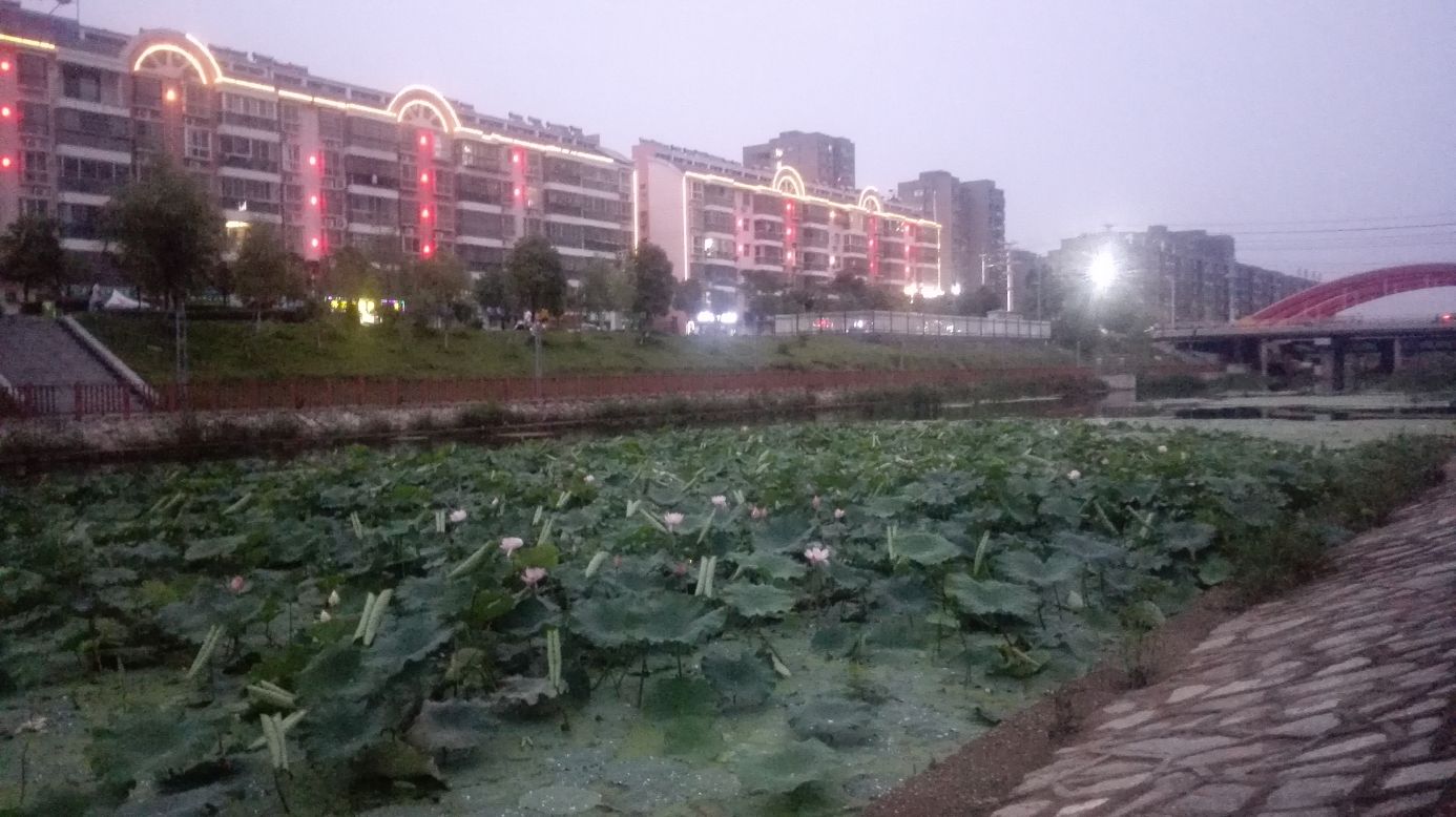 安陆德安植物公园
