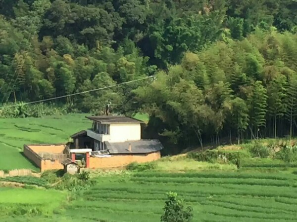 南平市延平区