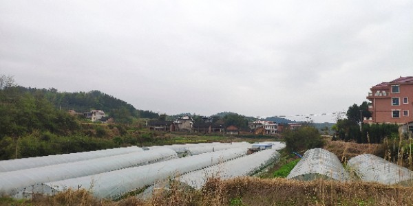 湖南省邵阳市新邵县棉花完全小学附近