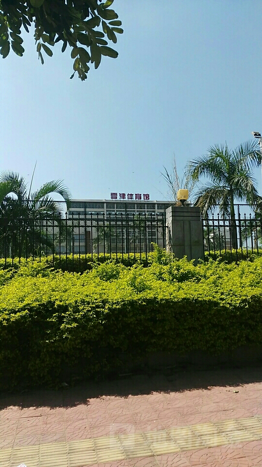 雪津体育馆