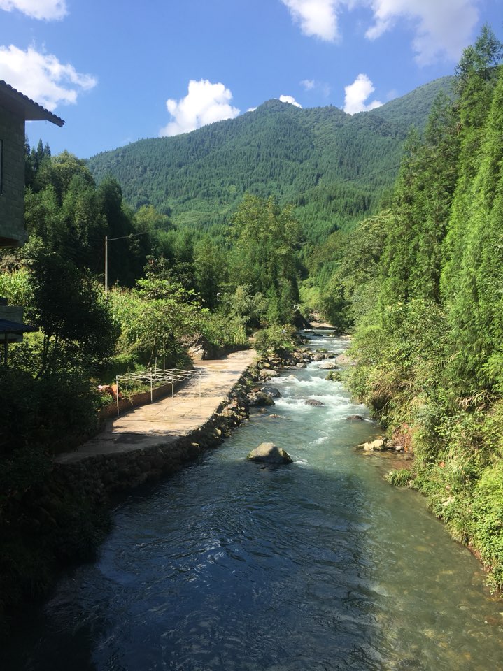 眉山市洪雅县