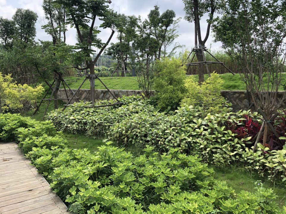 东山水系公园