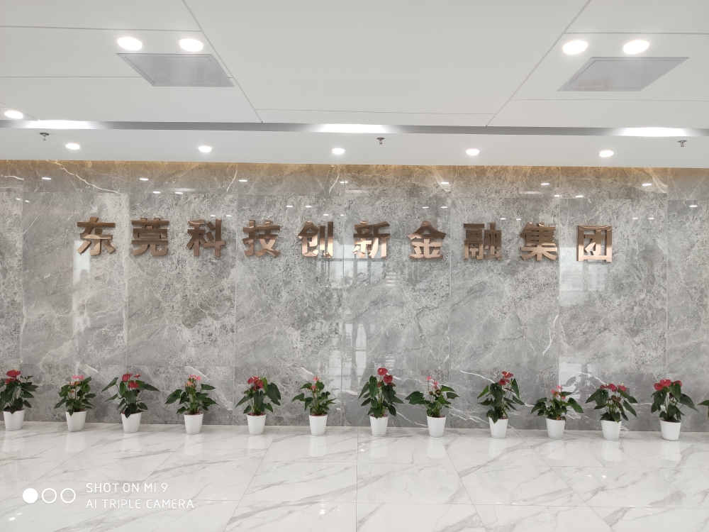 东莞科技创新金融集团有限公司
