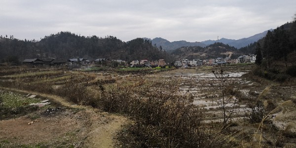 黔东南苗族侗族自治州岑巩县八零五县道