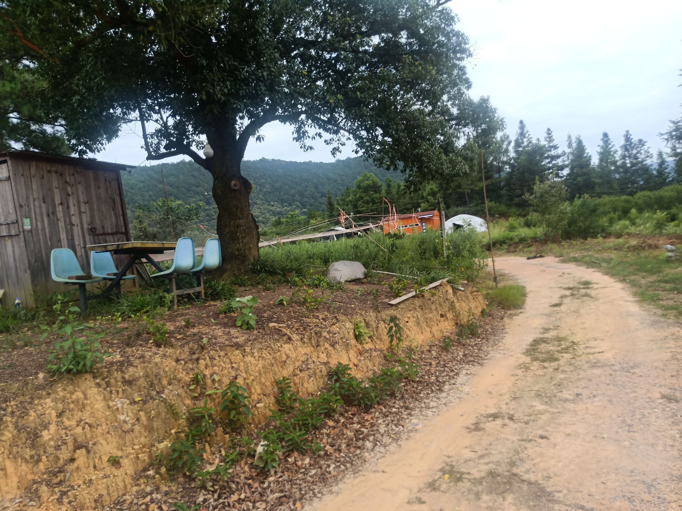 福建省龙岩市漳平市芦芝镇芦芝村下垅底