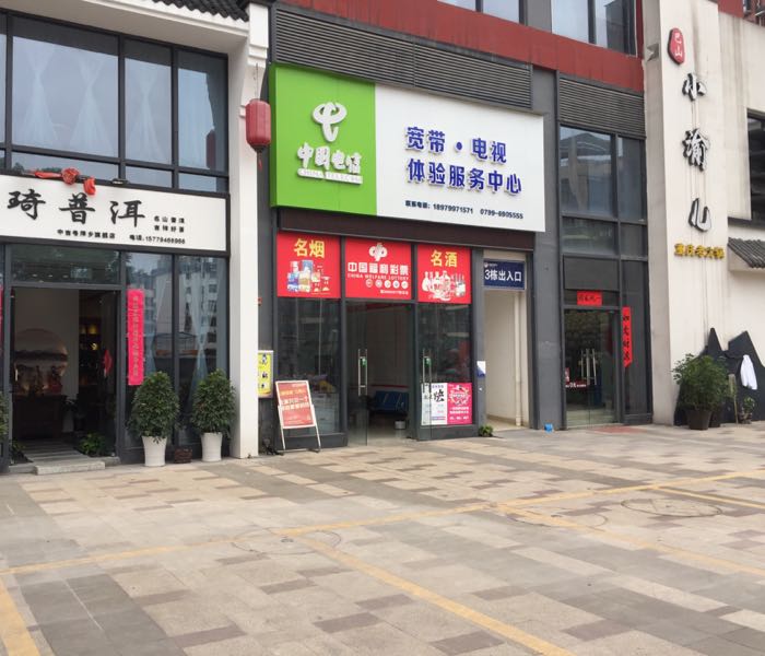 传琦普洱