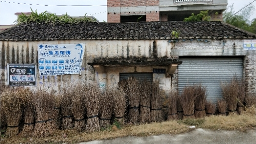 大坑村篮球场