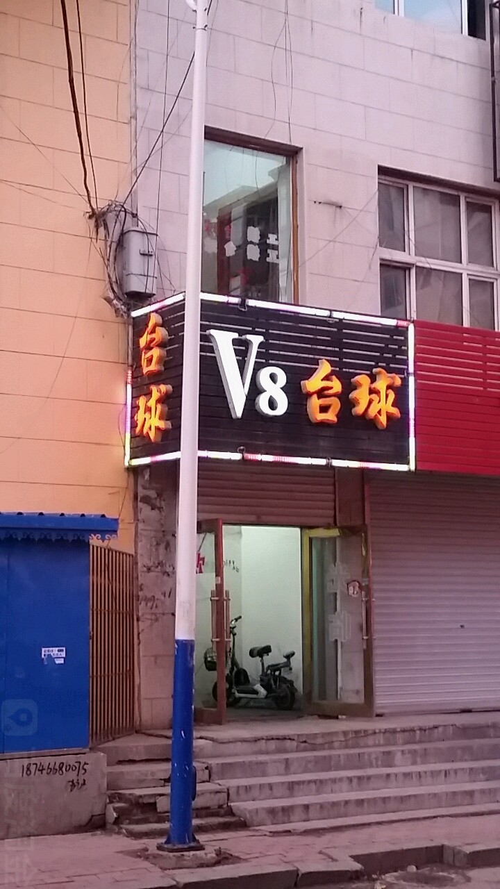 V8台球个会馆(中央大街店)