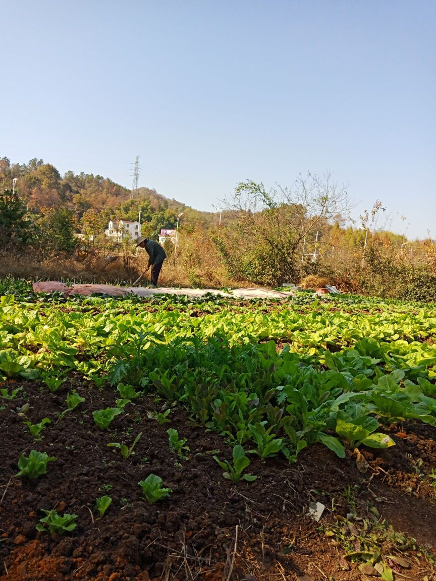 安徽省池州市东至县仙寓山风景区