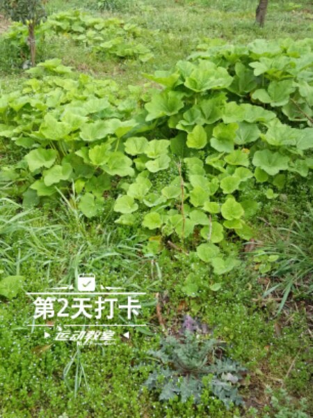 易买胜超市