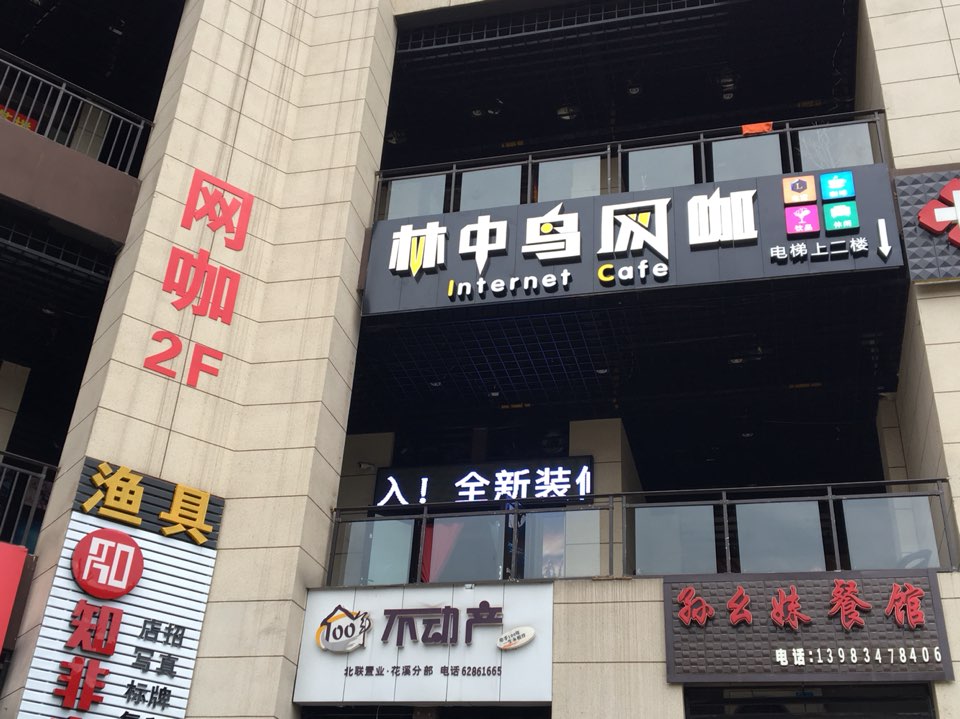 林中鸟网吧·机麻