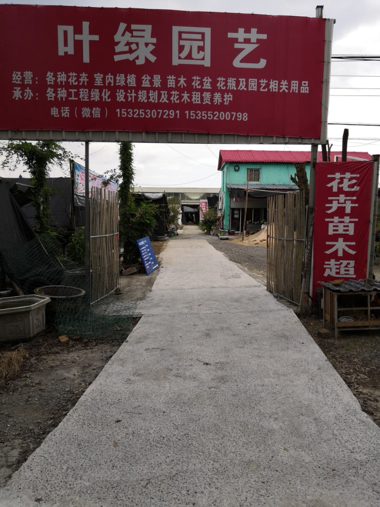 叶绿花卉苗木超市