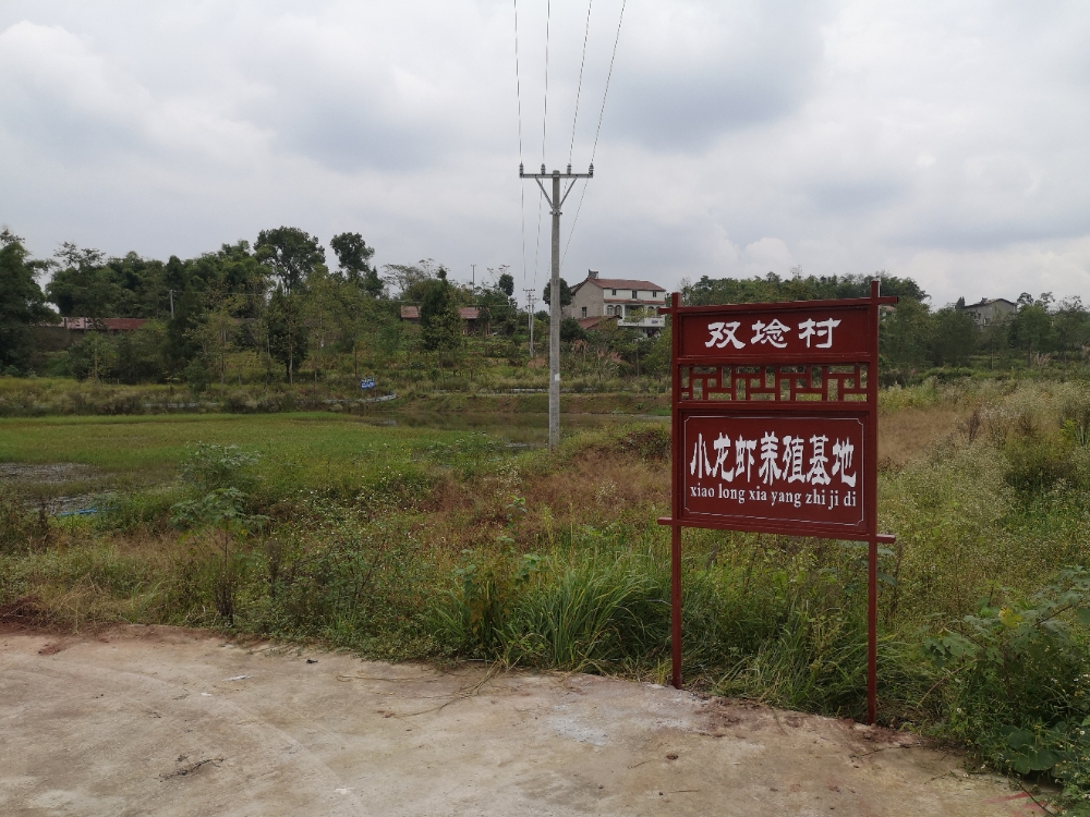 双柏村地名网_四川省广安市武胜县龙女镇双柏村资料简介