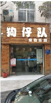 狗仔队宠物乐园