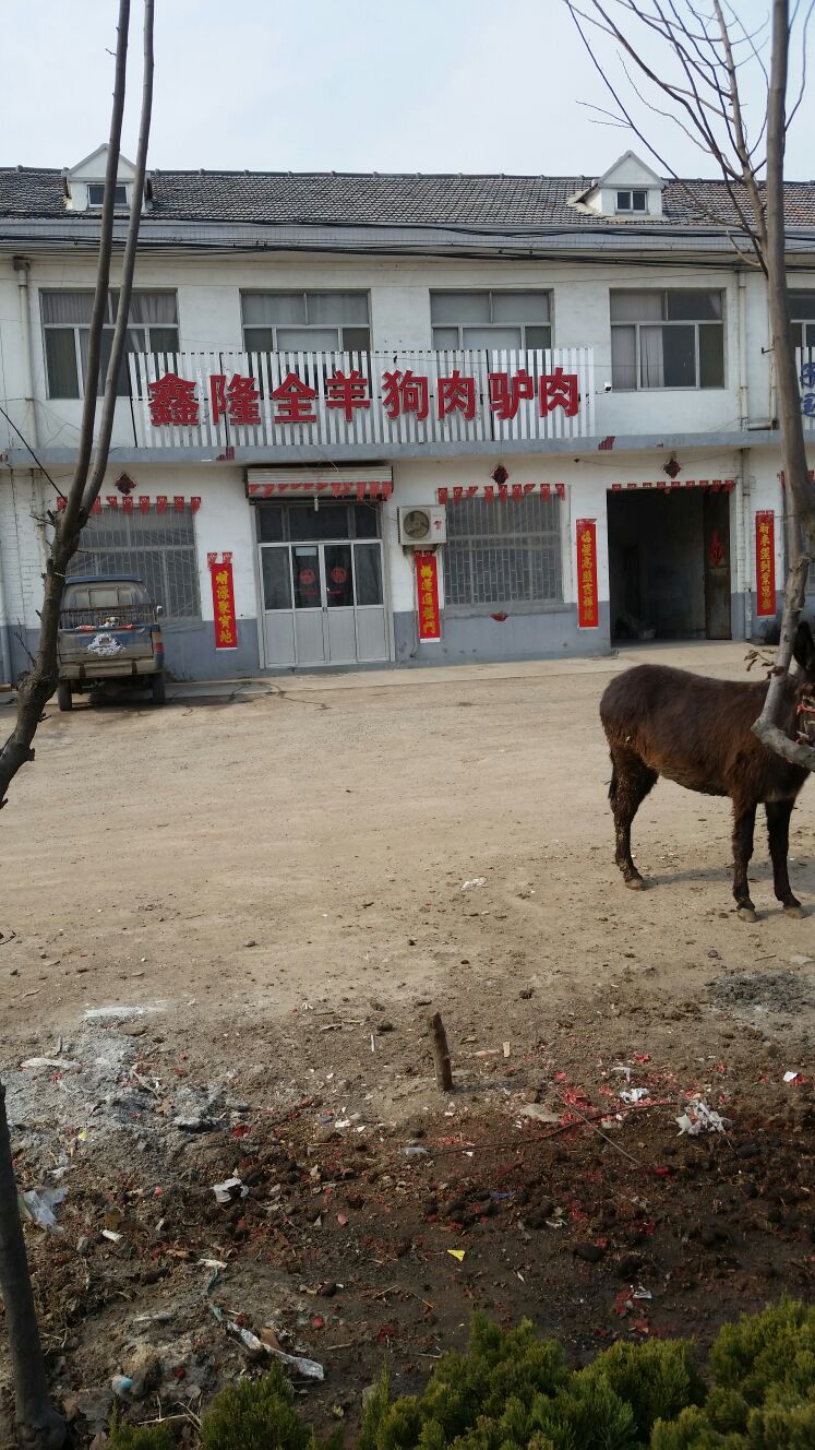鑫隆全羊狗肉