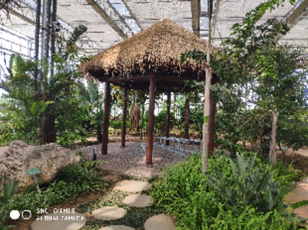 魏县标签: 植物园 旅游景点  梨花小镇植物博览园共多少人浏览