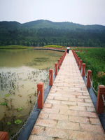 杭溪河入湖口湿地公园