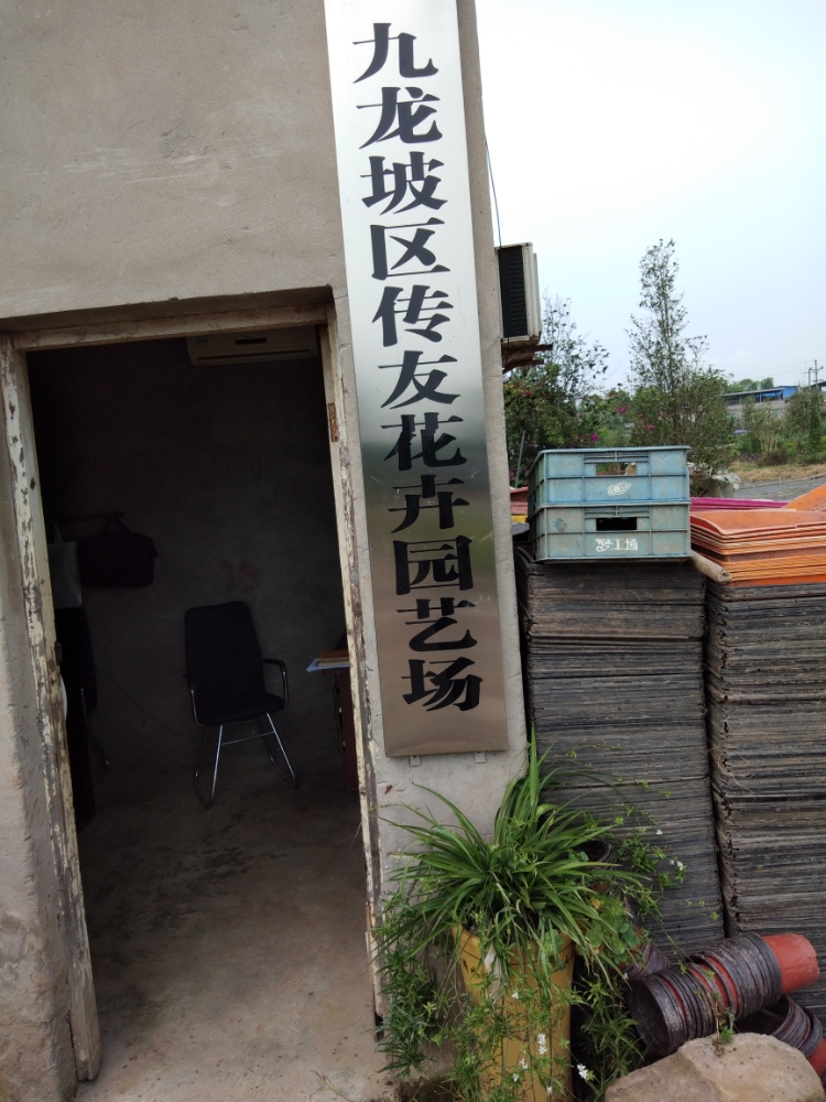 传益花卉